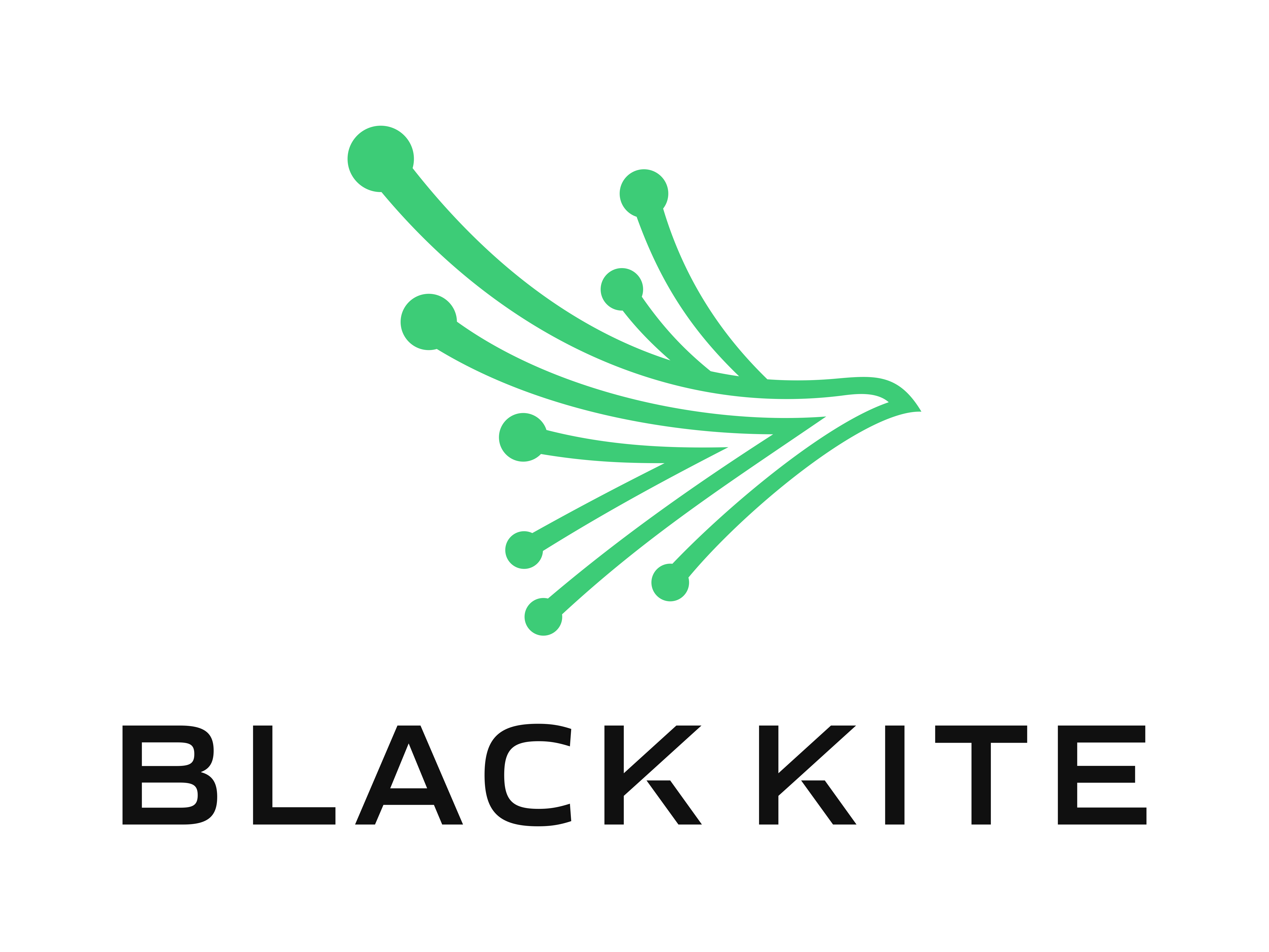 Black Kite logo